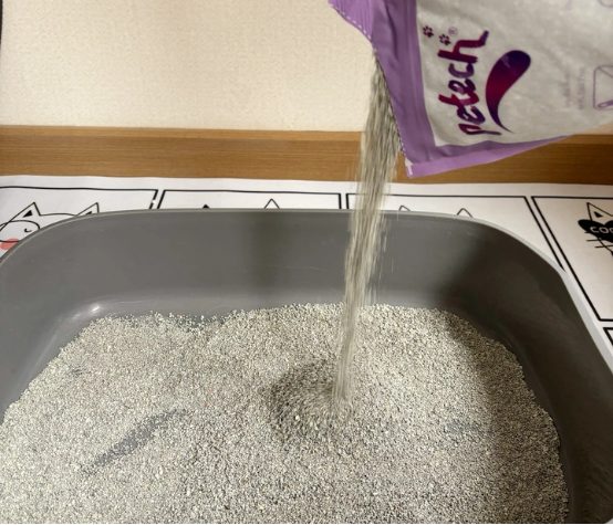 清香型矿砂推荐：结团好且不粘底