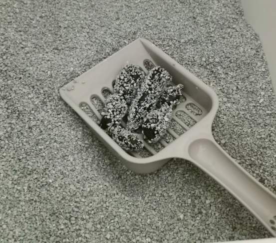 清香型矿砂推荐：结团好且不粘底