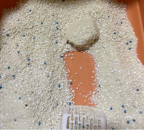 木薯植物猫砂使用体验:结团好、不粘底、除臭表现优秀 木薯植物猫砂使用体验:结团好、不粘底、除臭表现优秀