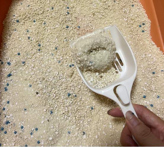 木薯植物猫砂使用体验:结团好、不粘底、除臭表现优秀 木薯植物猫砂使用体验:结团好、不粘底、除臭表现优秀