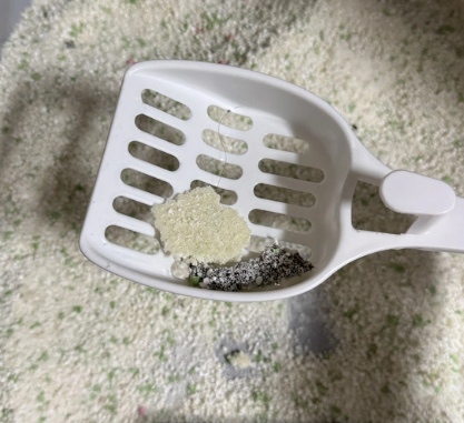 木薯猫砂使用体验:除臭强但成本较高 木薯猫砂使用体验:除臭强但成本较高