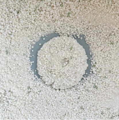 木薯猫砂使用体验:除臭强但成本较高 木薯猫砂使用体验:除臭强但成本较高