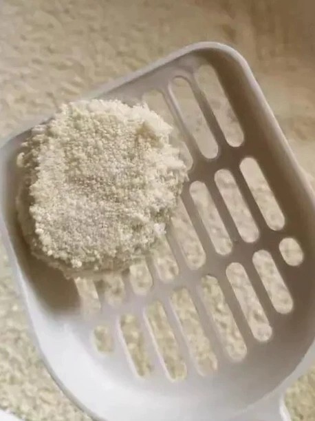 木薯猫砂测评：无香防尘结团快，云朵系列使用体验