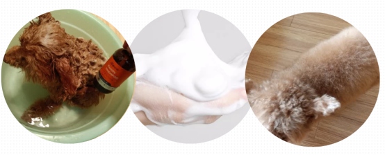 宠物沐浴露清洁力佳留香效果好成分温和性价比高 宠物沐浴露清洁力佳留香效果好成分温和性价比高