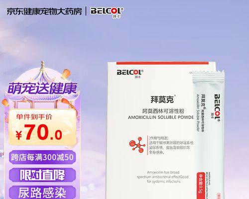 狗狗拉肚打喷嚏如何正确用药与护理