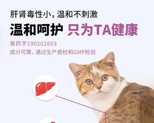 狗狗拉肚打喷嚏如何正确用药与护理