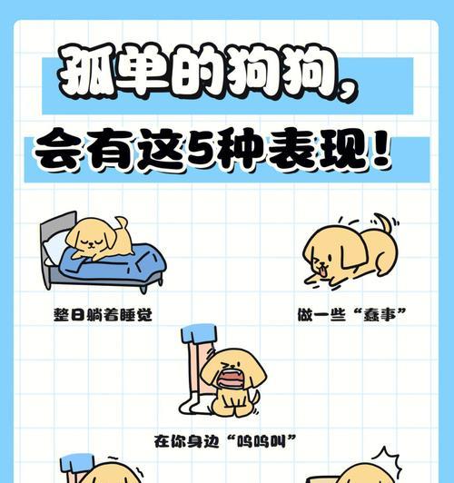 狗狗无精原因及应对方法全解析