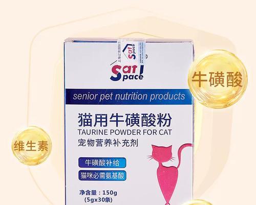 小猫感冒药物选择与护理要点