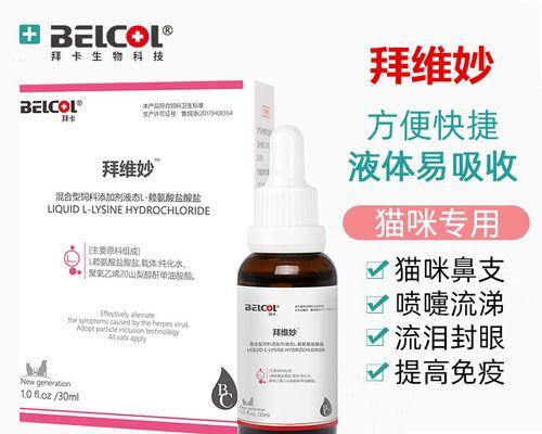 小猫感冒药物选择与护理要点