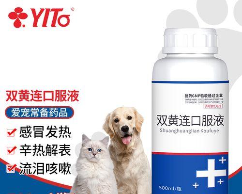 狗狗拉肚打喷嚏如何正确用药与护理