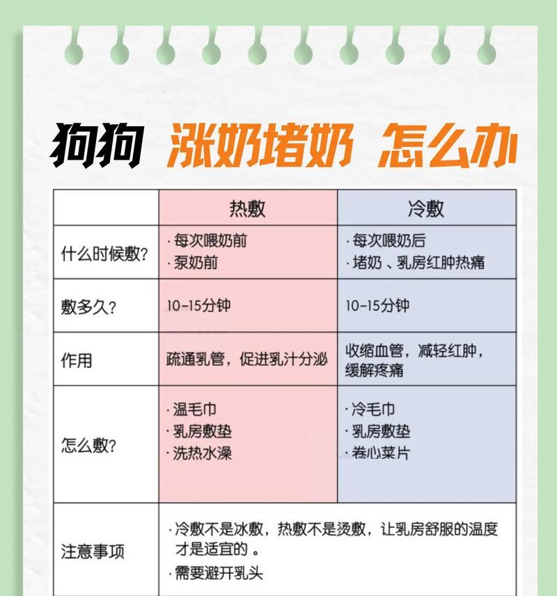 幼犬喂养时间关键因素与正确方法 幼犬喂养时间关键因素与正确方法