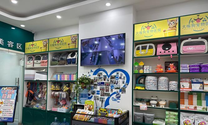 允许狗狗进超市指南：宠物友好政策与注意事项