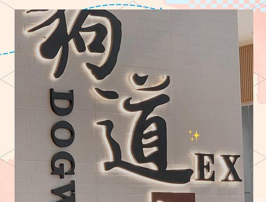 允许狗狗进超市指南：宠物友好政策与注意事项