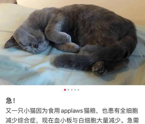 猫咪中毒急救措施:识别中毒症状与紧急处理方法 猫咪中毒急救措施:识别中毒症状与紧急处理方法
