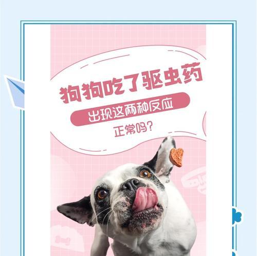 狗崽打虫药时间间隔与注意事项全解析 狗崽打虫药时间间隔与注意事项全解析