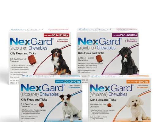 狗崽打虫药时间间隔与注意事项全解析 狗崽打虫药时间间隔与注意事项全解析