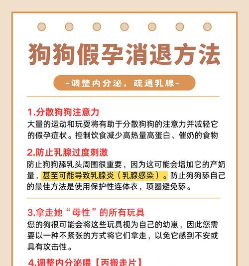 狗狗怀孕多久肚子开始涨？完整解析