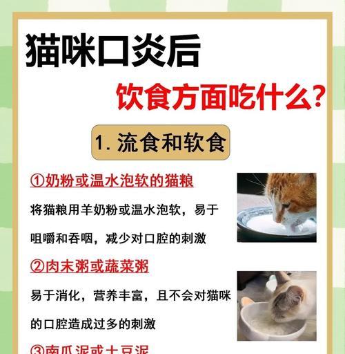 猫粮泡软时间因素与正确方式 猫粮泡软时间因素与正确方式