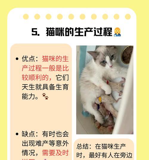 如何帮新出生猫咪克服怕生问题 如何帮新出生猫咪克服怕生问题