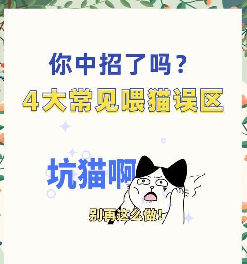 三个月大猫咪科学饮食安排指南