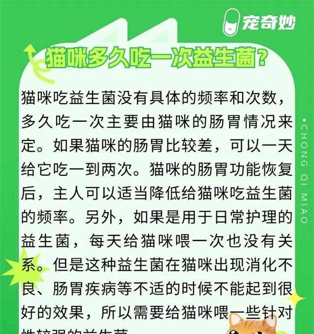 三个月大猫咪科学饮食安排指南