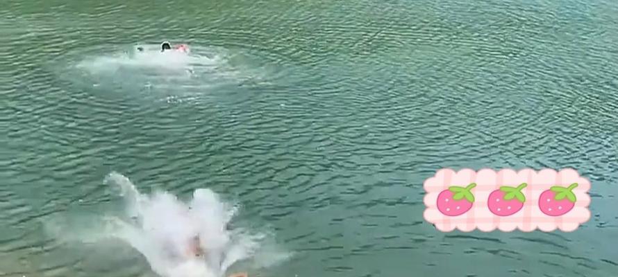 狗狗呛水恢复时间及急救措施详解