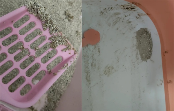 守爱KO矿砂测评：粉尘少脚感佳，适合预算有限的猫咪主人