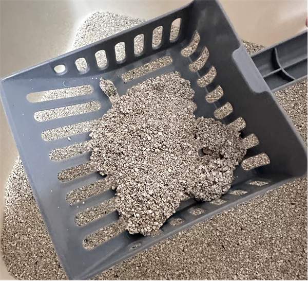 守爱KO矿砂测评：粉尘少脚感佳，适合预算有限的猫咪主人