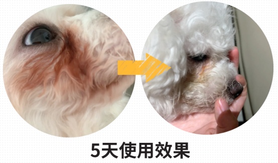 宠物泪痕精华液抗氧化成分安全有效 宠物泪痕精华液抗氧化成分安全有效