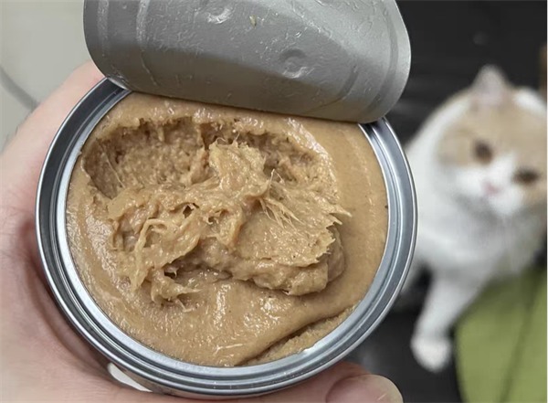 高性价比猫咪主食罐推荐,营养安全适口性好 高性价比猫咪主食罐推荐,营养安全适口性好