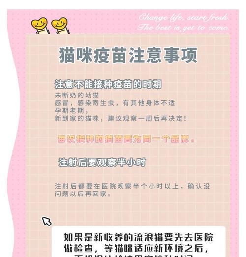 猫咪疫苗接种后如何科学安排怀孕时间