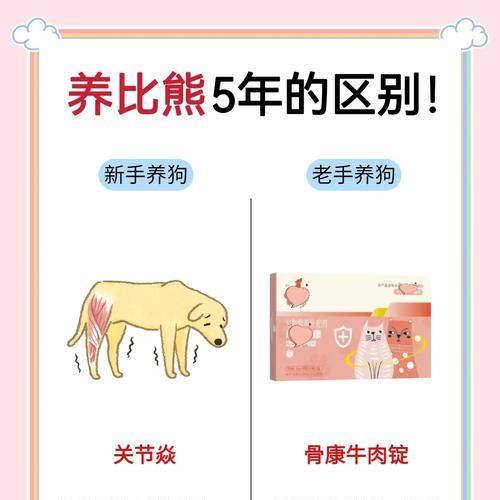 比熊剃毛后毛发恢复周期及护理建议