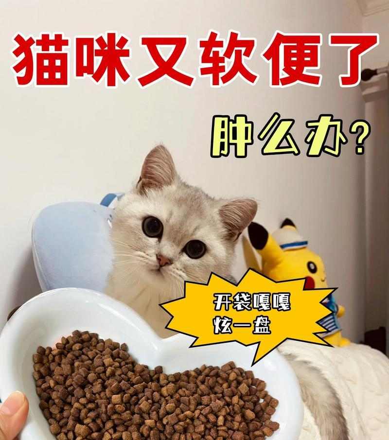 猫咪换粮后软便原因及应对方法