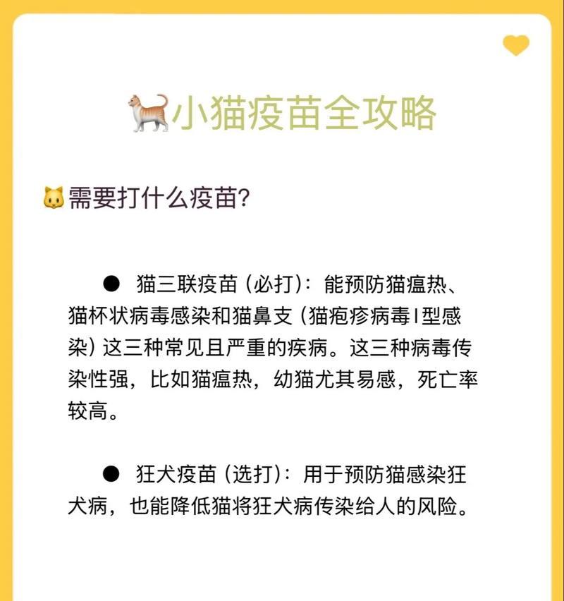 猫咪疫苗接种后如何科学安排怀孕时间