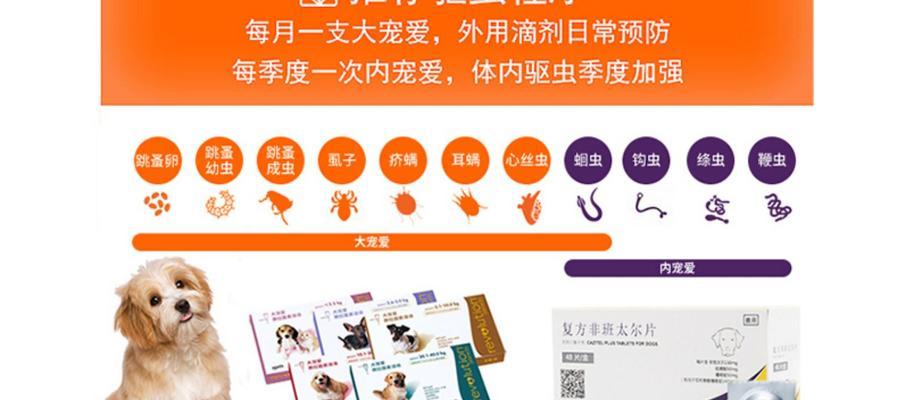 金毛驱虫指南：时间安排与费用分析