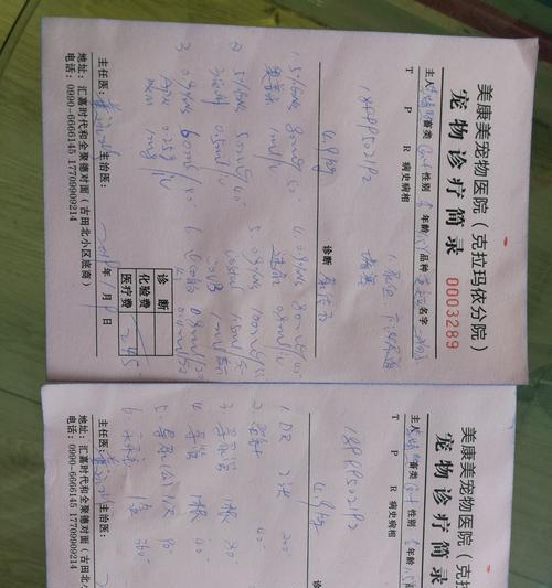 猫结石康复关键因素解析