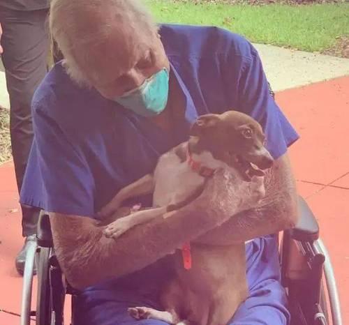 掌握早期狗中风症状，及时发现和治疗