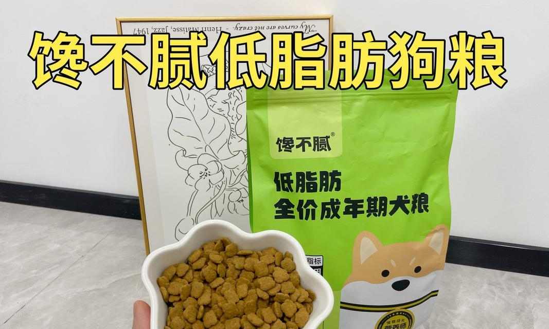 狗狗饮食选择:狗粮与米饭的科学对比分析 狗狗饮食选择:狗粮与米饭的科学对比分析