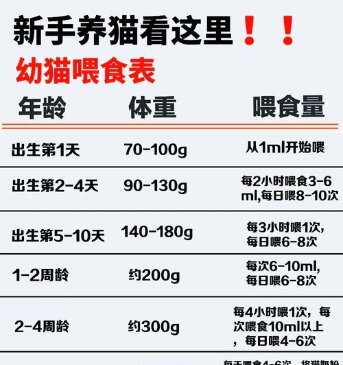 十磅猫粮能吃多久？科学喂养指南