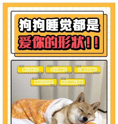 狗狗入睡时间受哪些因素影响?科学解析睡眠习惯与环境 狗狗入睡时间受哪些因素影响?科学解析睡眠习惯与环境