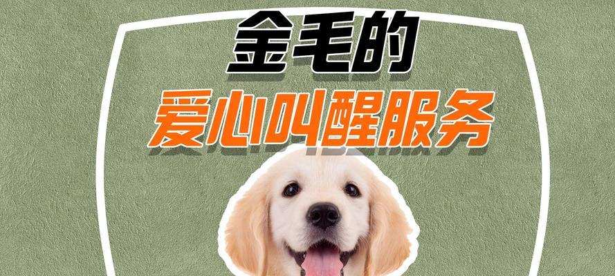 金毛狗吹空调的正确方法与注意事项