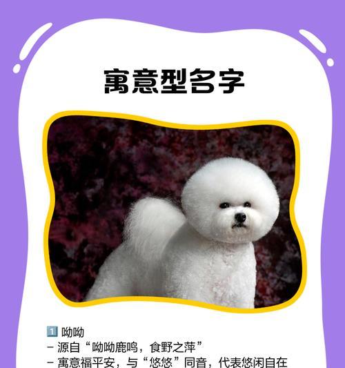 比熊狗名怎么取才搞笑又不尴尬? 比熊狗名怎么取才搞笑又不尴尬?
