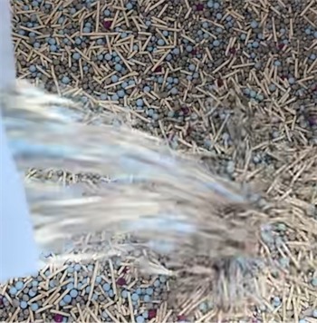 豆腐猫砂真的便宜实用吗？测评结果出炉