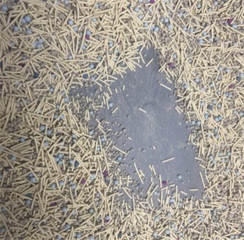 豆腐猫砂真的便宜实用吗？测评结果出炉