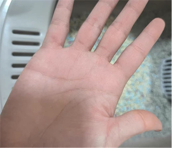 豆腐猫砂真的便宜实用吗？测评结果出炉