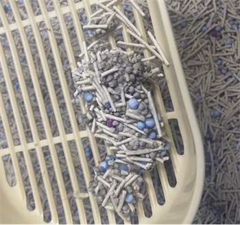 豆腐猫砂真的便宜实用吗？测评结果出炉
