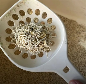猫博士混合猫砂测评：结团除臭好，但需注意粉尘和粘底问题