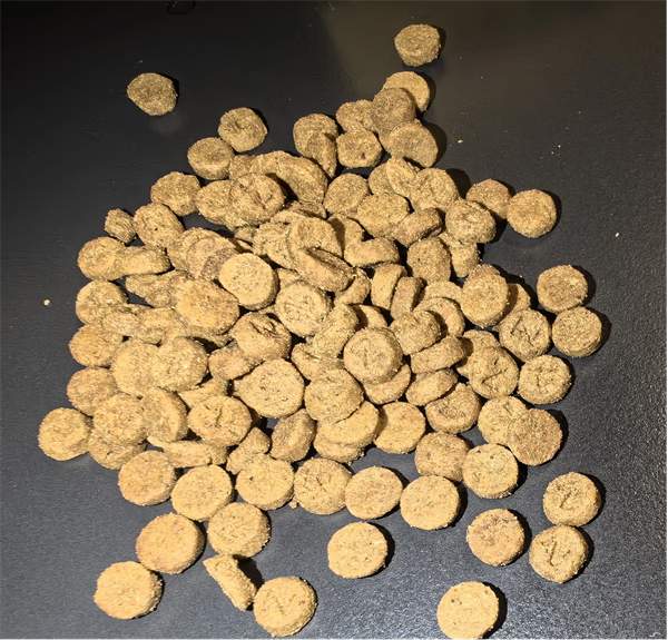 618选购优质国产猫粮推荐,低敏高营养烘焙粮测评 618选购优质国产猫粮推荐,低敏高营养烘焙粮测评