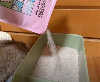 宠佰星猫砂真实测评：结团好除臭强，但包裹性一般