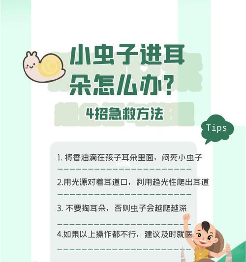 耳朵藏虫子的真相与应对方法 耳朵藏虫子的真相与应对方法